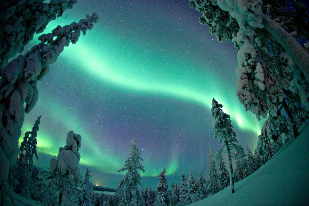 Ounasvaaran Lakituvat Chalets Rovaniemi Værelse billede