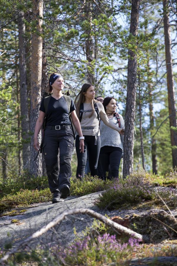 Ounasvaaran Lakituvat Chalets Rovaniemi Eksteriør billede