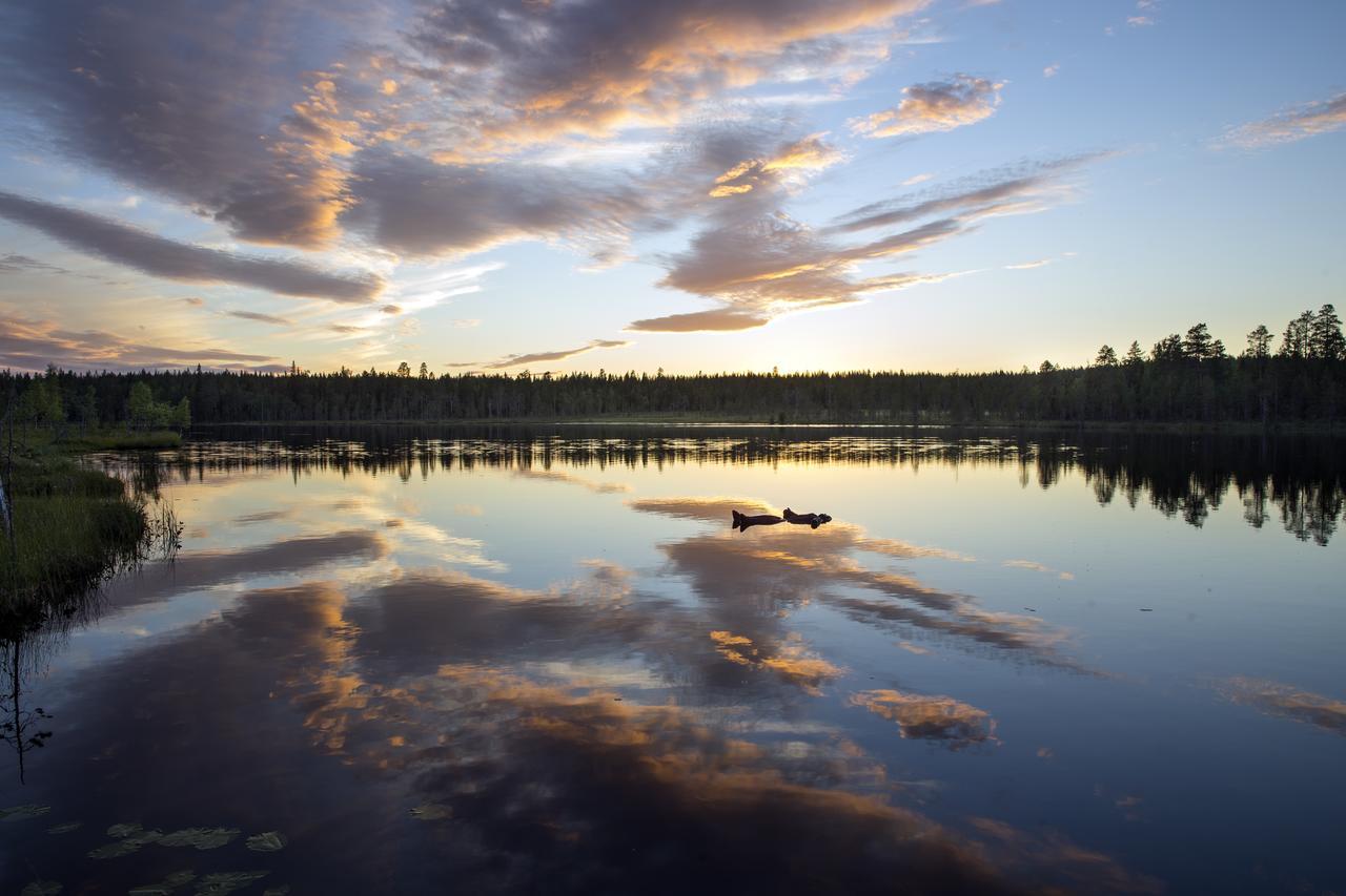 Ounasvaaran Lakituvat Chalets Rovaniemi Eksteriør billede