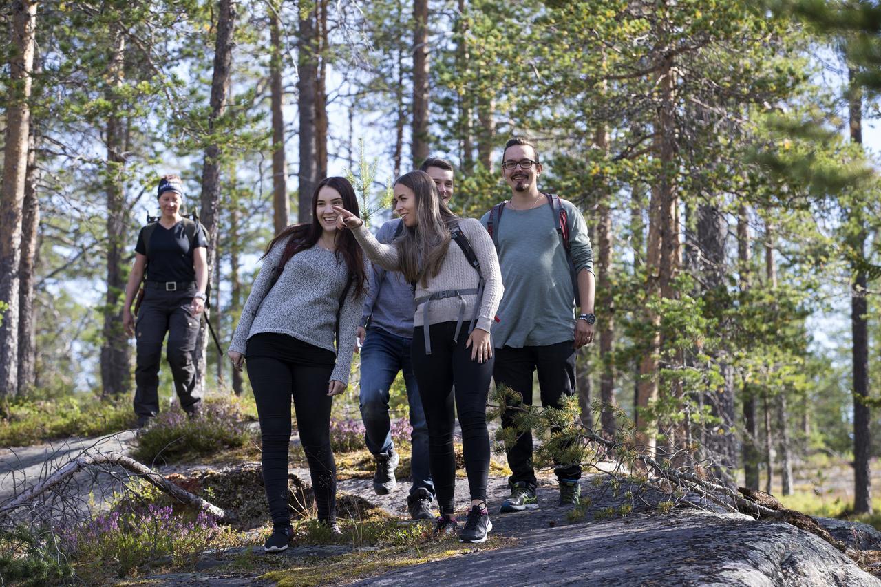 Ounasvaaran Lakituvat Chalets Rovaniemi Eksteriør billede