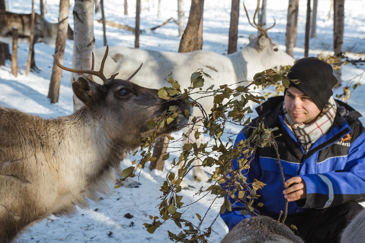 Ounasvaaran Lakituvat Chalets Rovaniemi Eksteriør billede