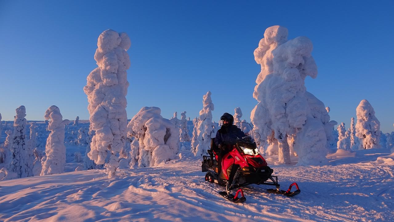 Ounasvaaran Lakituvat Chalets Rovaniemi Eksteriør billede