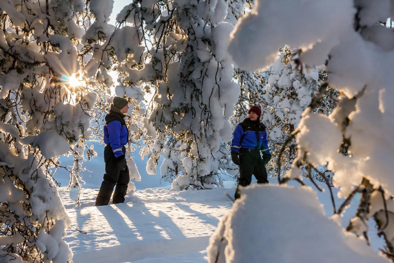 Ounasvaaran Lakituvat Chalets Rovaniemi Eksteriør billede